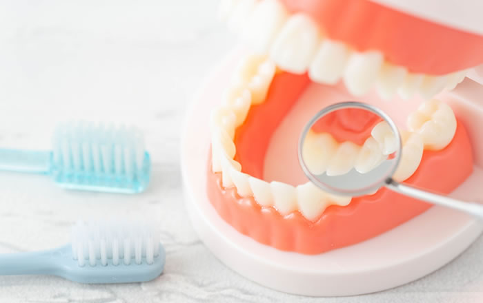 歯肉炎と歯周炎って何が違うの？
