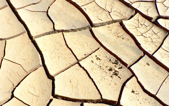 なぜ唇は乾燥しやすいのか:唇には皮脂腺や汗腺がほとんどない