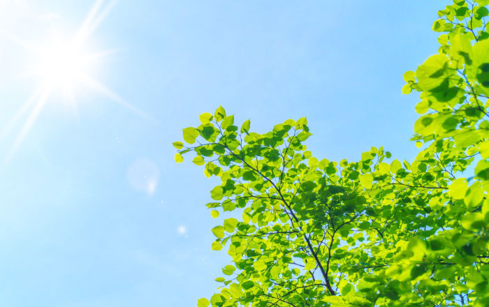 口呼吸・摩擦・紫外線などの外的要因で、さらに唇の乾燥が進む