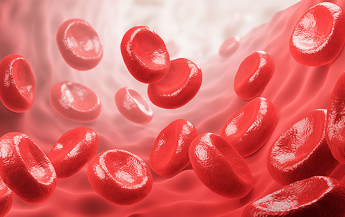 時間帯によって痛みに波がある理由:血流の変化と頭部への圧力