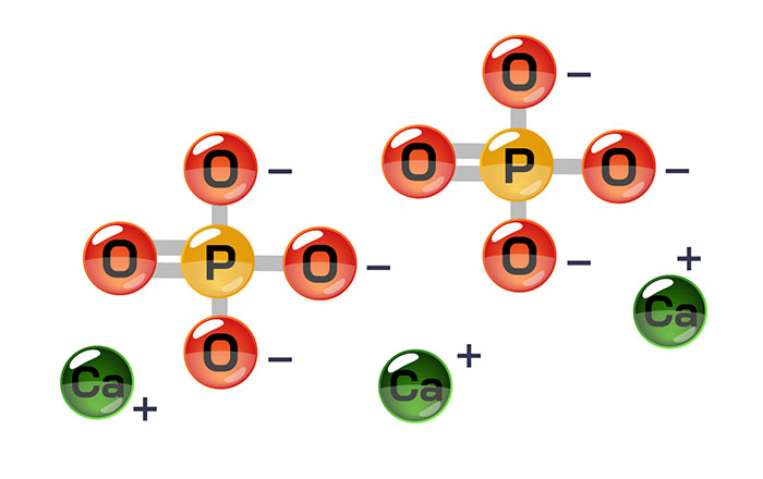 フォースデンティンのメリット：生成されるリン酸カルシウムは象牙細管を確実に塞ぎ、生体親和性も高い